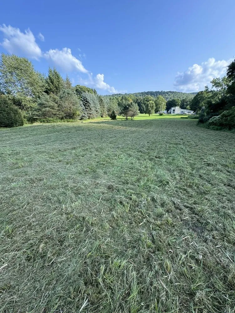 Local yard cleanup service for outdoor upgrades in Springville, NY by J&S Blue Collar Services