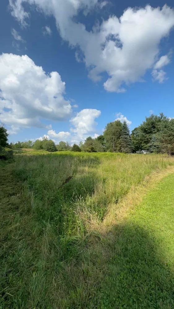 Expert outdoor landscaping for outdoor upgrades across Springville, NY - J&S Blue Collar Services