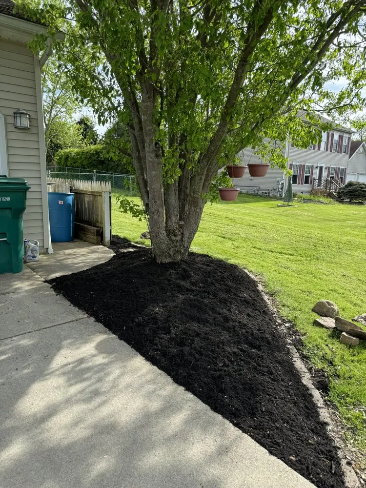 Affordable yard maintenance in Springville, NY by J&S Blue Collar Services