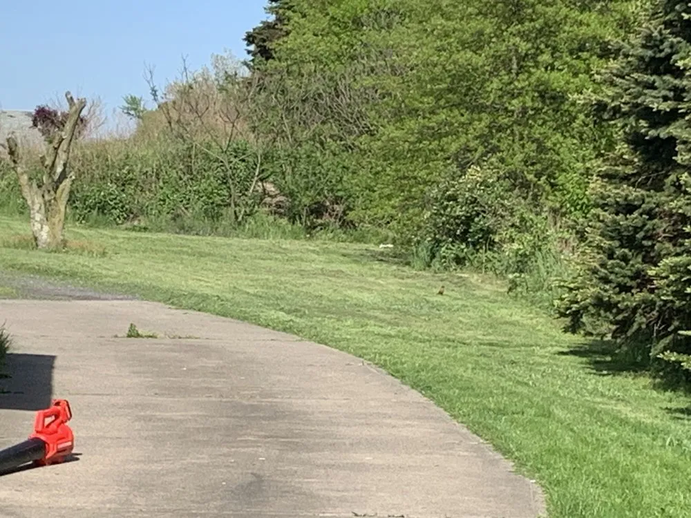 Top-rated yard maintenance in Plymouth, PA - J’s clean cut yards LLC