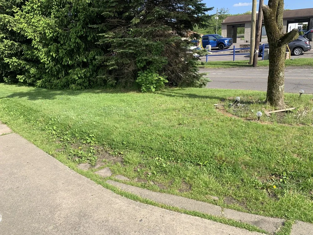 Expert landscape installation in Plymouth, PA by J’s clean cut yards LLC