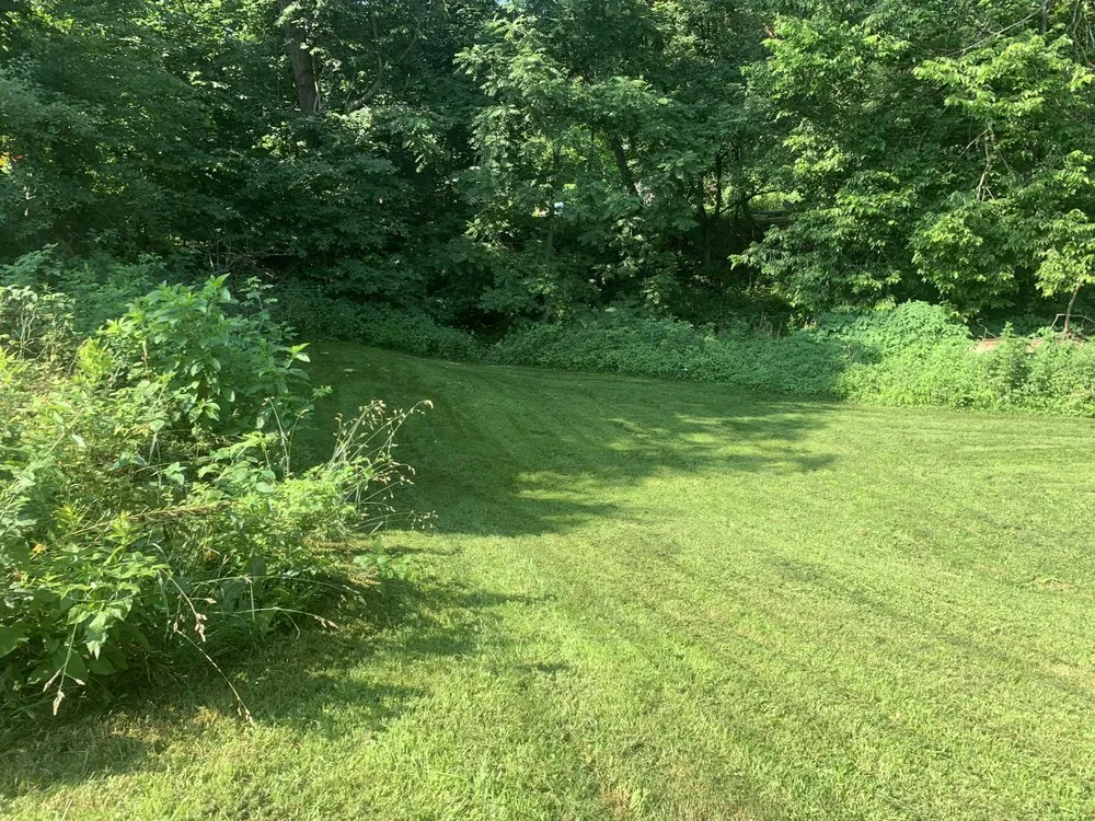 Local residential landscaping for year-round maintenance in Plymouth, PA by J’s clean cut yards LLC