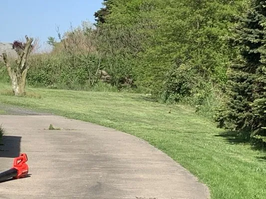 J’s clean cut yards LLC