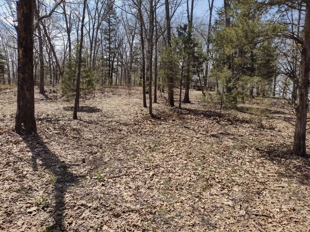 Professional yard cleanup service for residential properties in French Village, MO by J&S Construction and Lawn Care