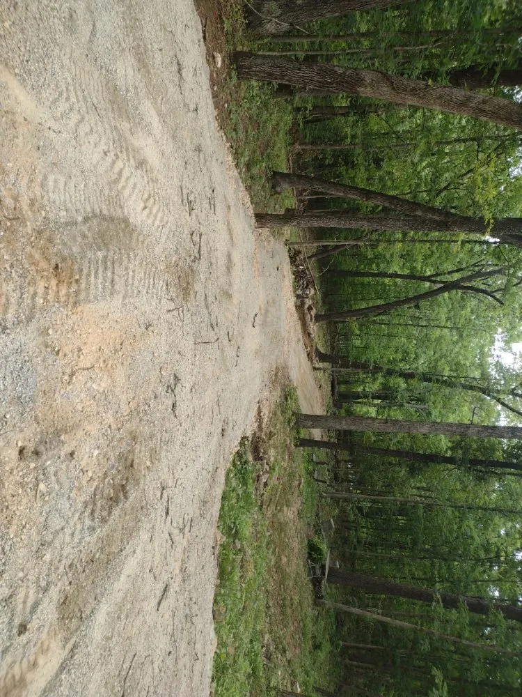 Reliable lawn care service for homes across French Village, MO - J&S Construction and Lawn Care