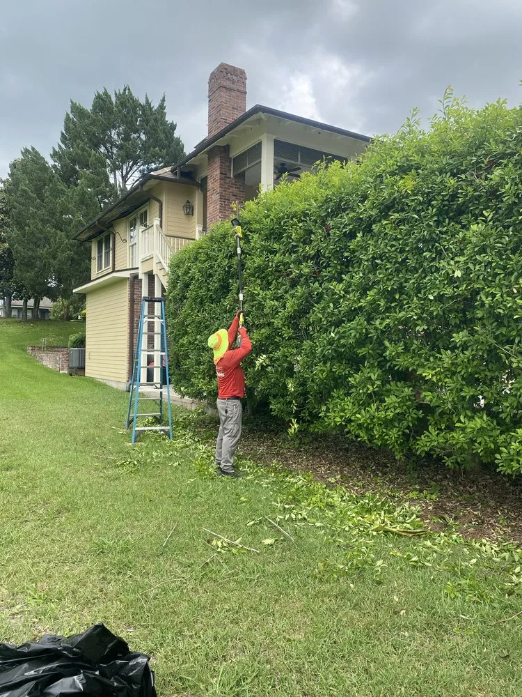 Top-rated yard maintenance near you across Morganza, LA - J's Crazy Cutz