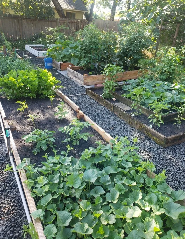 Reliable outdoor landscaping in Eugene, OR by J's Custom Yard Care