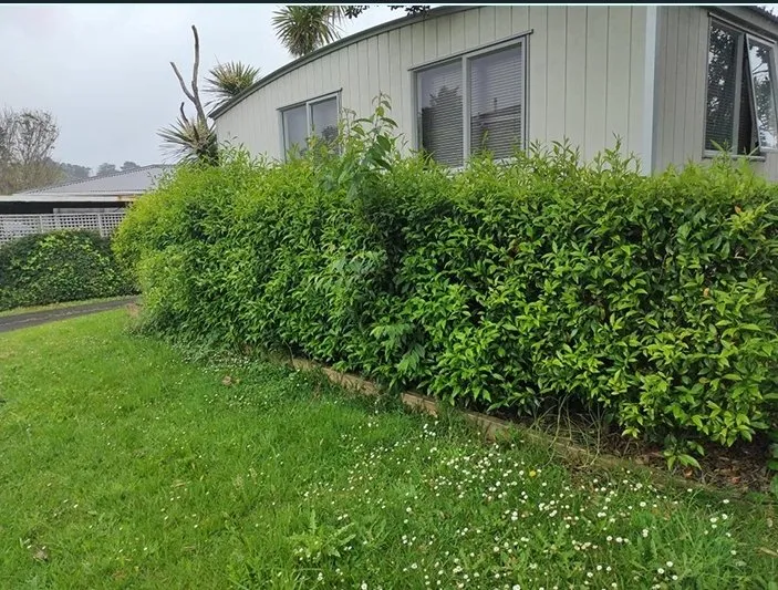 Top-rated yard cleanup service with custom design across Eugene, OR - J's Custom Yard Care