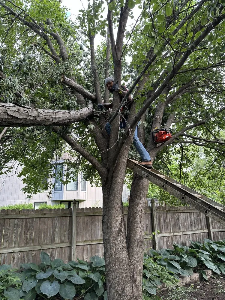 Expert lawn mowing service for year-round maintenance across Kansas City, MO - J’s Do It All