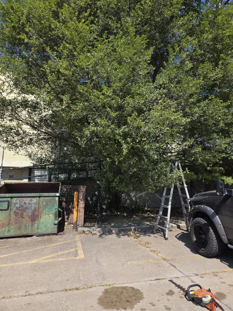 Affordable outdoor landscaping for year-round maintenance across New Franklin, OH - J&S Exterior Solutions