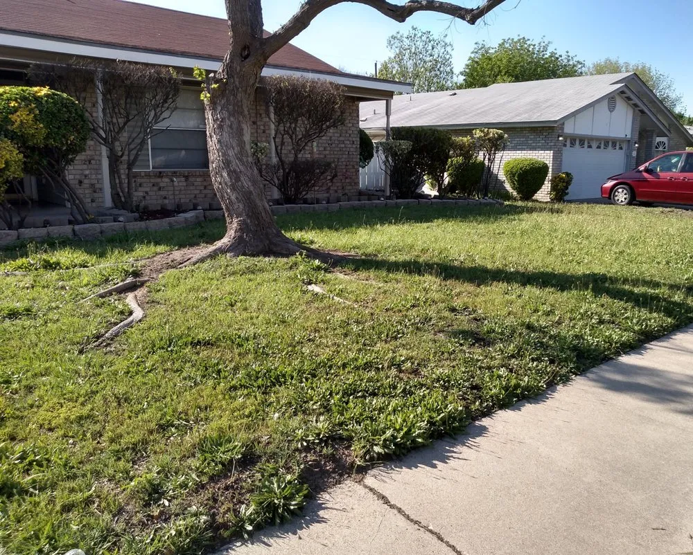 Reliable residential landscaping in Killeen, TX by J's Gifted Hand Lawn Care