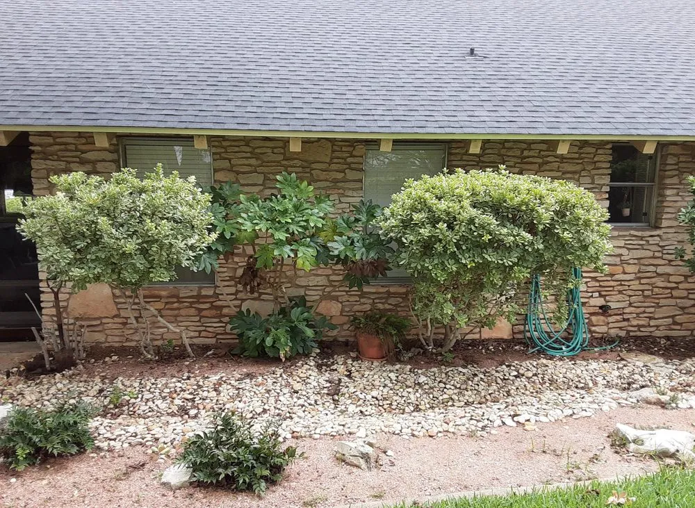 Affordable lawn mowing service near you in Killeen, TX by J's Gifted Hand Lawn Care