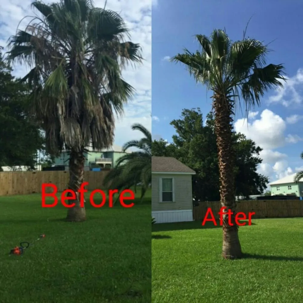 Custom outdoor landscaping for outdoor upgrades across Port Sulphur, LA - J&S Grounds Maintenance