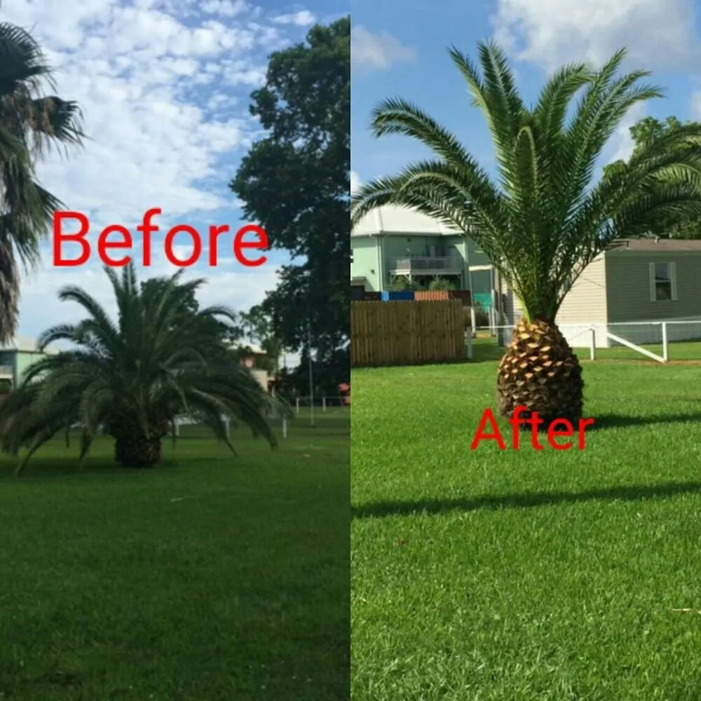 Local lawn care service for year-round maintenance across Port Sulphur, LA - J&S Grounds Maintenance