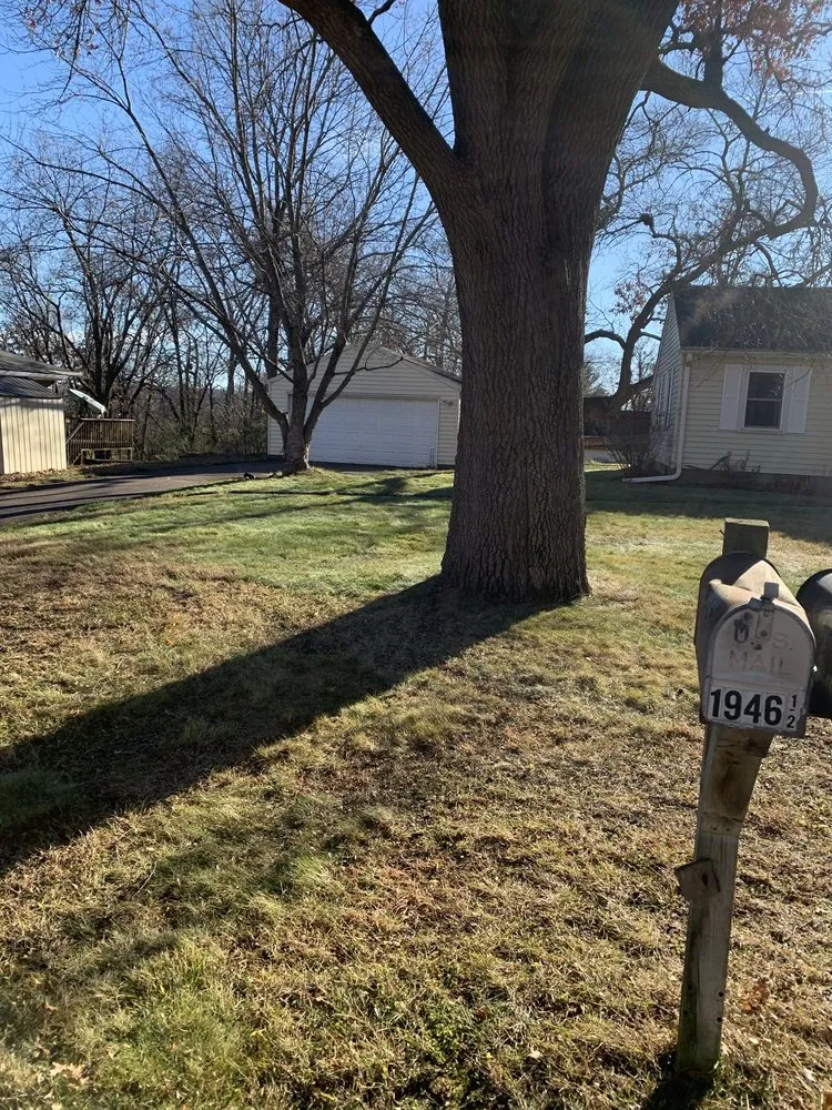 Reliable yard cleanup service experts serving Toledo, OH - J’s Handyman & Lawn Services