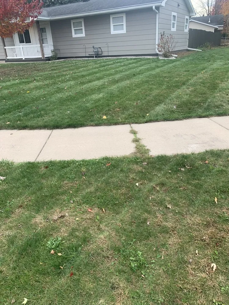 Professional yard maintenance for homes in Toledo, OH by J’s Handyman & Lawn Services