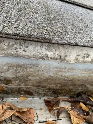 J’s Handyman & Lawn Services