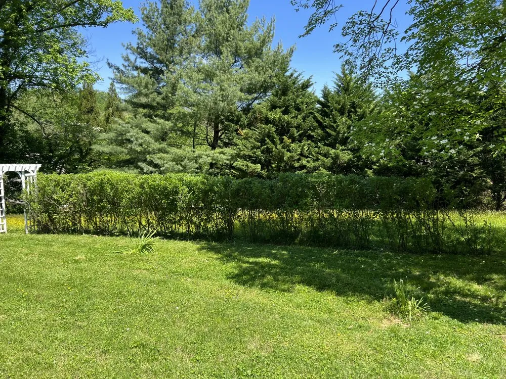 Affordable yard maintenance for year-round maintenance across Essex, MD - JS Haul Install Do It All