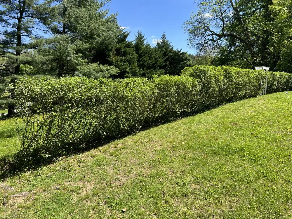 Local residential landscaping for homes across Essex, MD - JS Haul Install Do It All