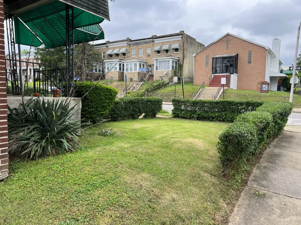 Trusted yard maintenance experts serving Essex, MD - JS Haul Install Do It All