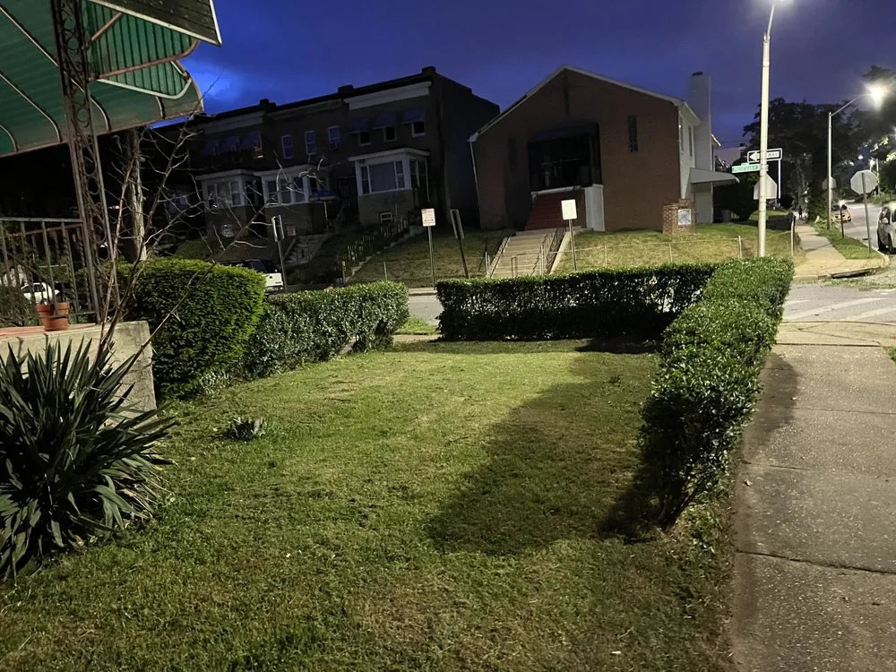 Top-rated yard cleanup service near you in Essex, MD by JS Haul Install Do It All