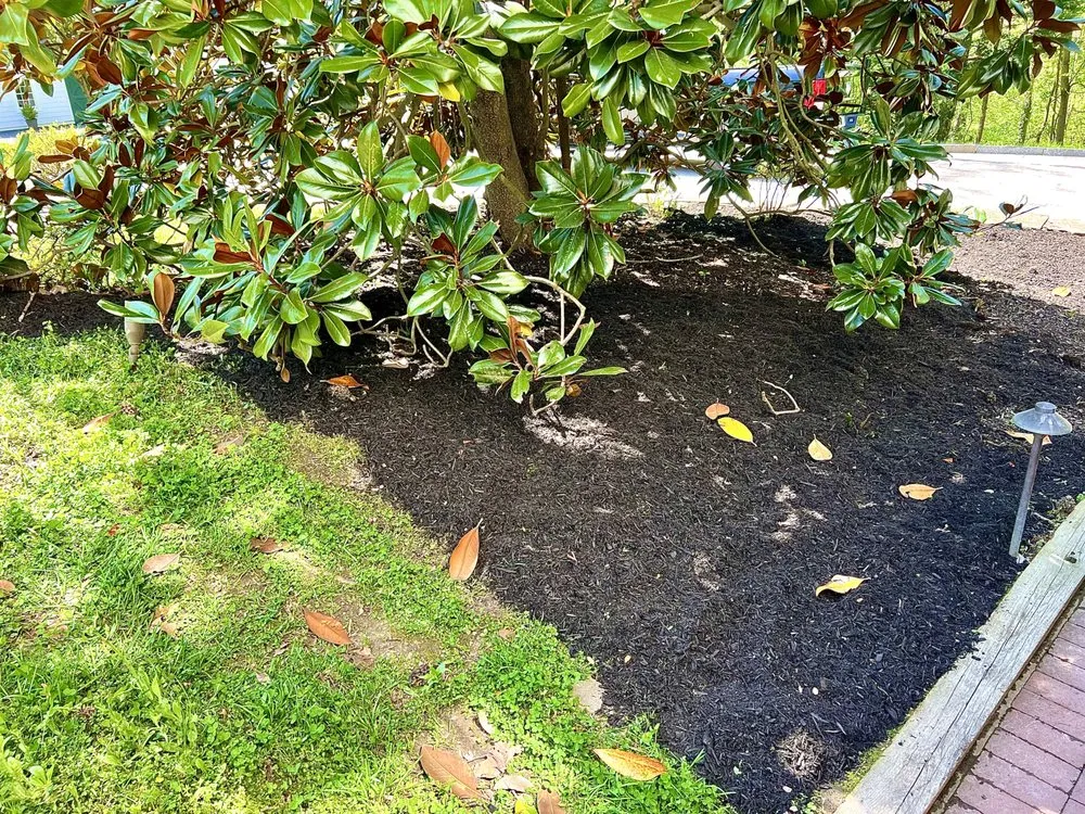 Reliable yard maintenance in Essex, MD by JS Haul Install Do It All