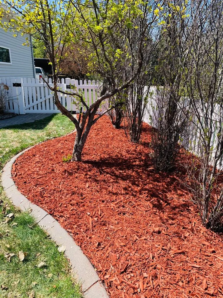 Affordable yard cleanup service in Moorhead, MN by JS Homeworks and Design