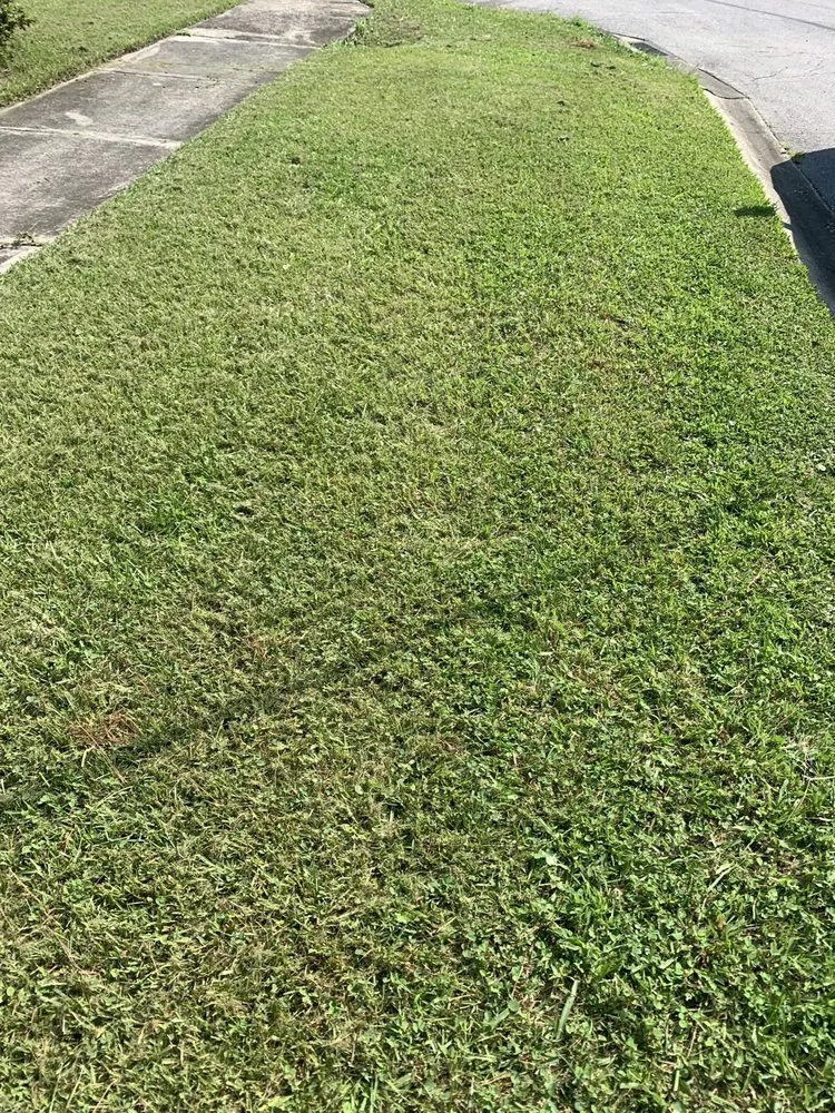 Affordable landscaping services for year-round maintenance across Jacksonville, FL - J&S House Services