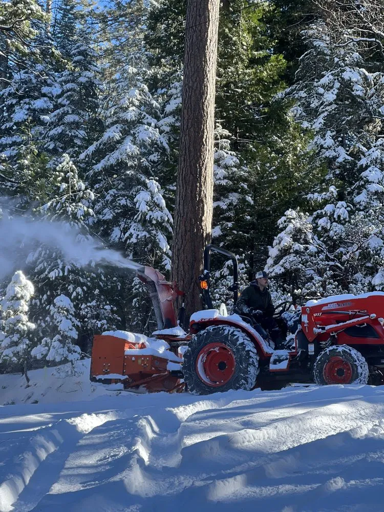 Top-rated lawn mowing service for year-round maintenance across Sonora, CA - JS Land & Tree