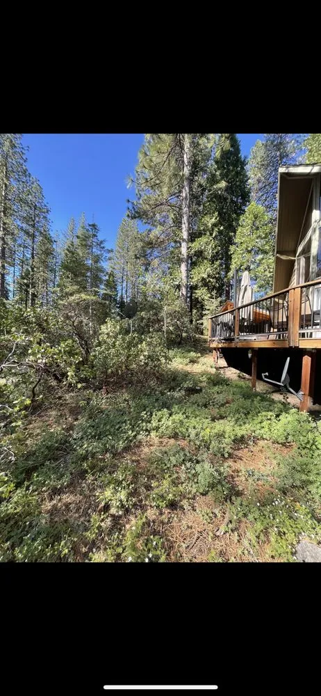 Professional outdoor landscaping for residential properties in Sonora, CA by JS Land & Tree