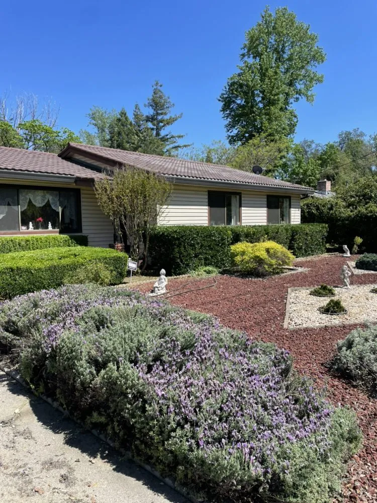 Local landscape installation experts serving Sonora, CA - JS Land & Tree