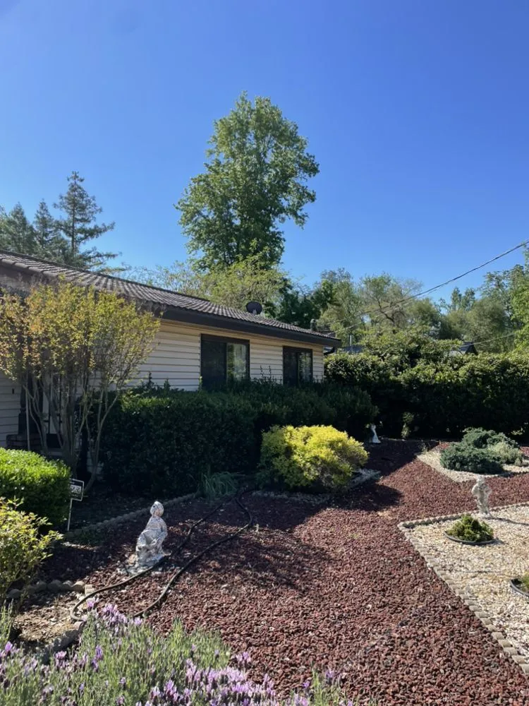 Professional outdoor landscaping with custom design across Sonora, CA - JS Land & Tree