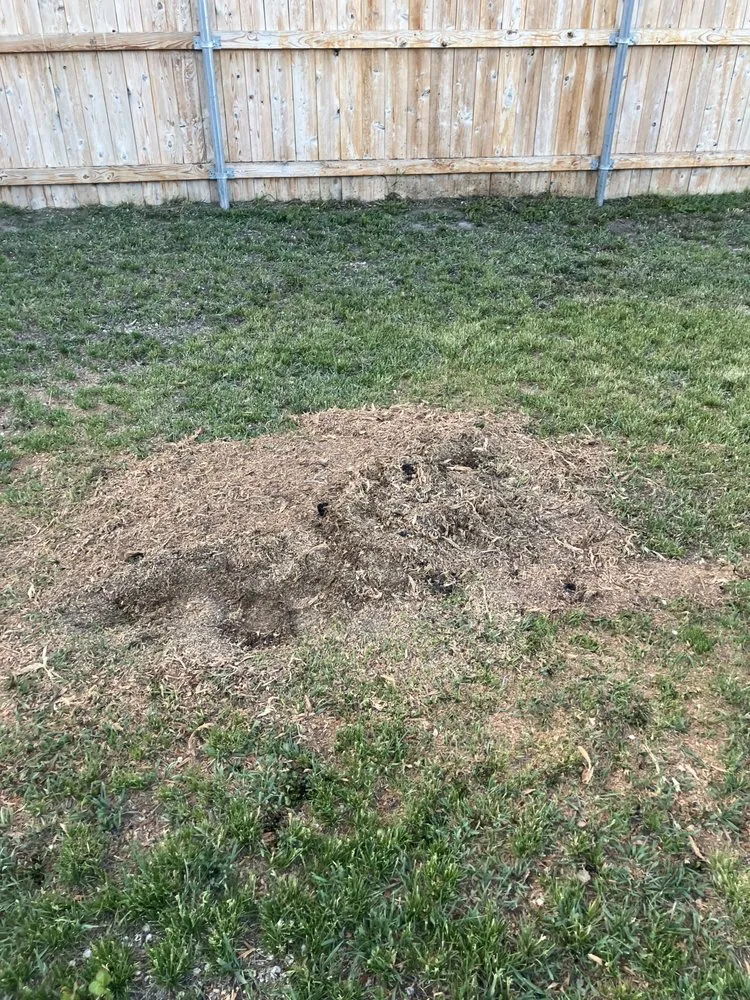 Top-rated lawn care service for homes in Mountain Home, ID by J&S Land Management