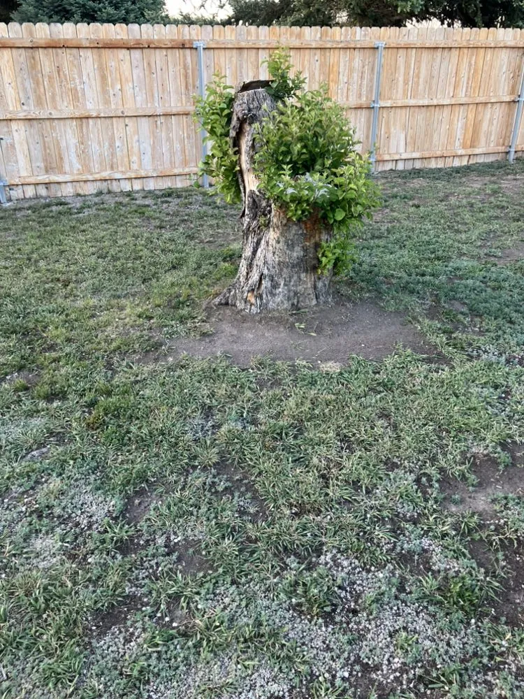 Affordable outdoor landscaping in Mountain Home, ID - J&S Land Management