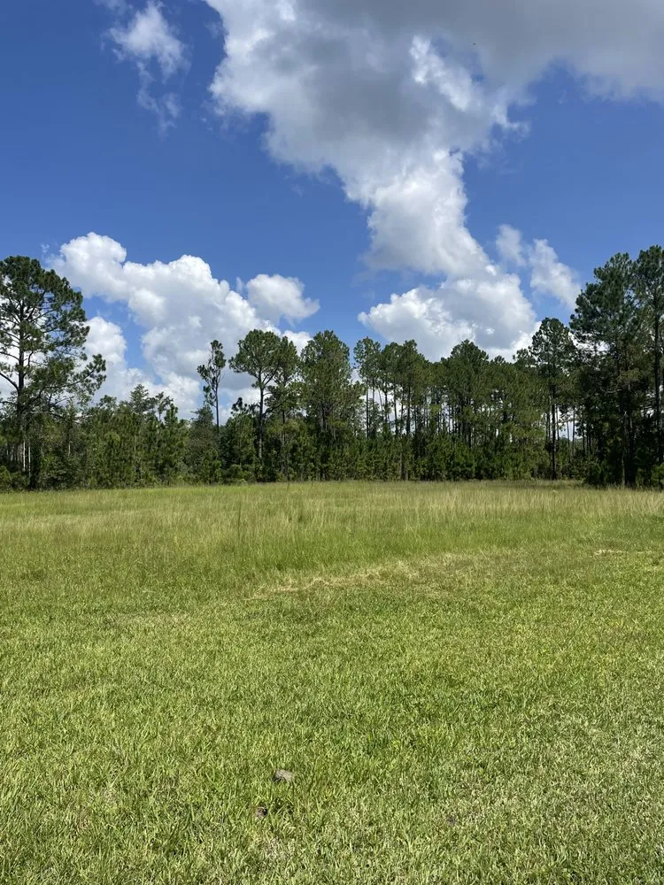 Reliable landscaping services in Fruitland Park, FL by J&S Land Service