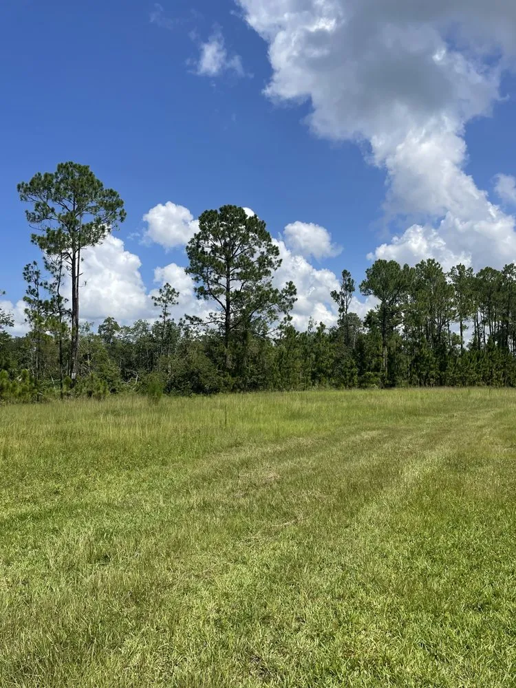 Professional residential landscaping experts serving Fruitland Park, FL - J&S Land Service