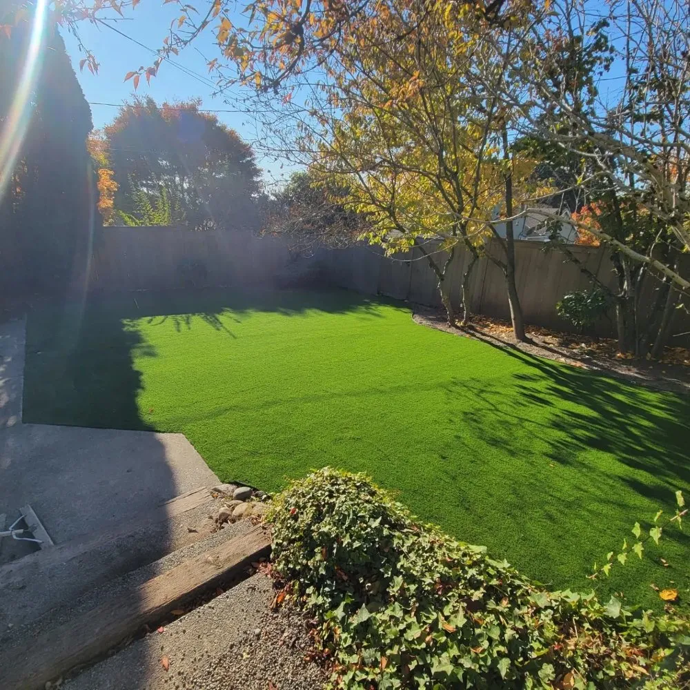 Professional lawn care service near you across Burien, WA - JS Landscape & Excavation