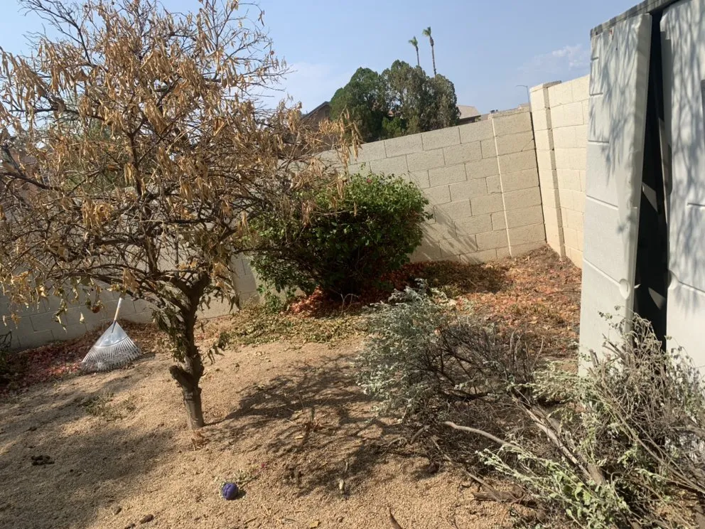 Custom lawn mowing service in Avondale, AZ - Js Landscape & Junk Removal