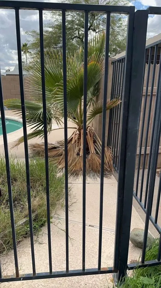 Custom garden landscaping near you across Avondale, AZ - Js Landscape & Junk Removal