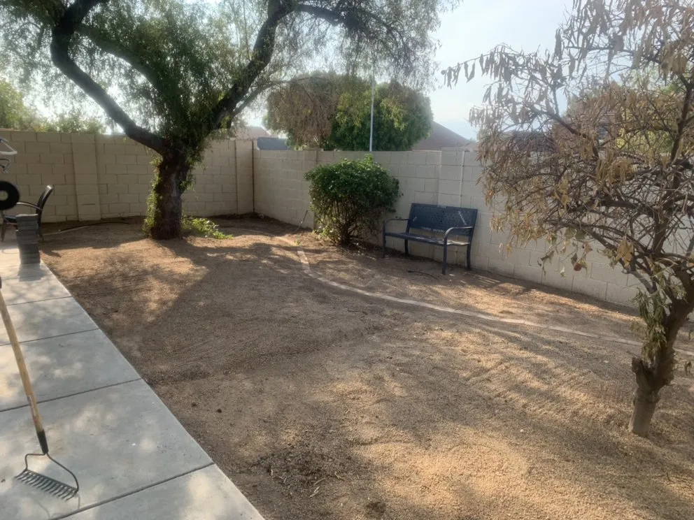 Custom outdoor landscaping for residential properties across Avondale, AZ - Js Landscape & Junk Removal
