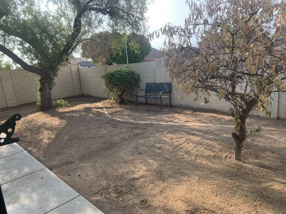 Professional landscape installation in Avondale, AZ by Js Landscape & Junk Removal