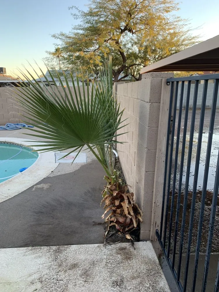 Reliable residential landscaping in Avondale, AZ - Js Landscape & Junk Removal