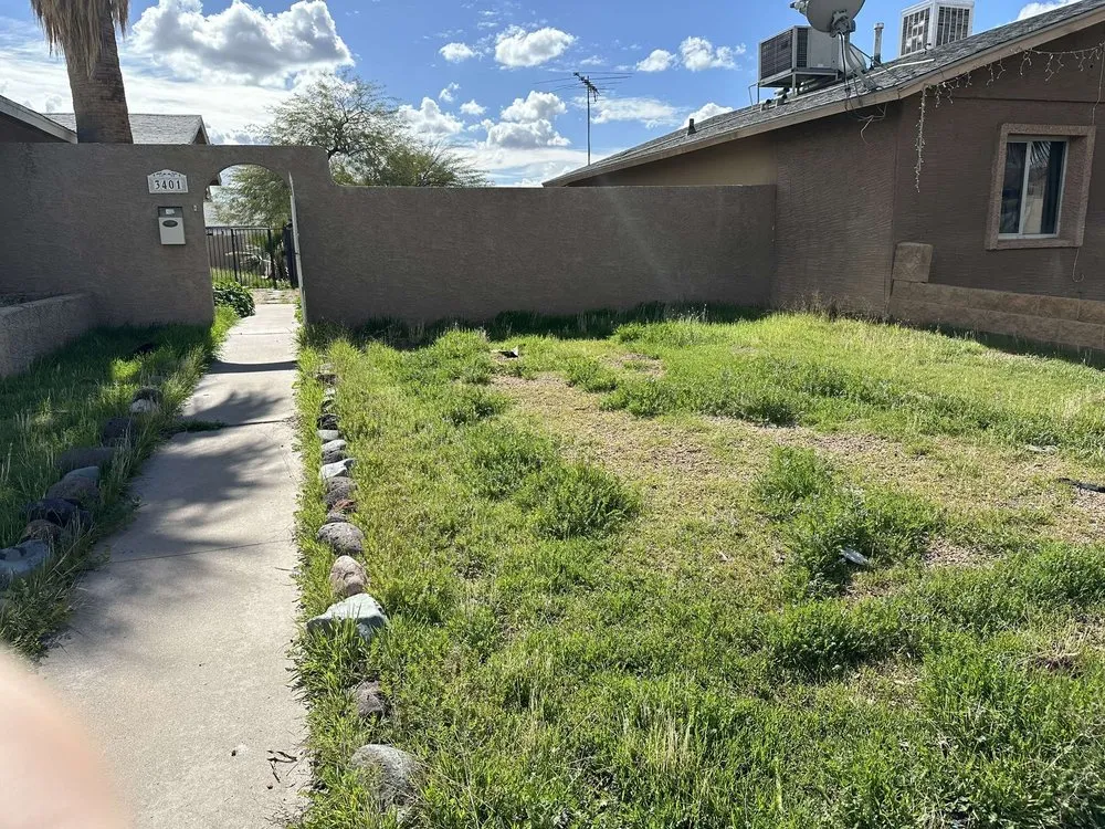 Reliable lawn care service in Avondale, AZ by Js Landscape & Junk Removal