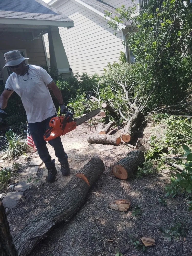 Professional landscaping services in Anna, TX - J's Landscape & Remodeling