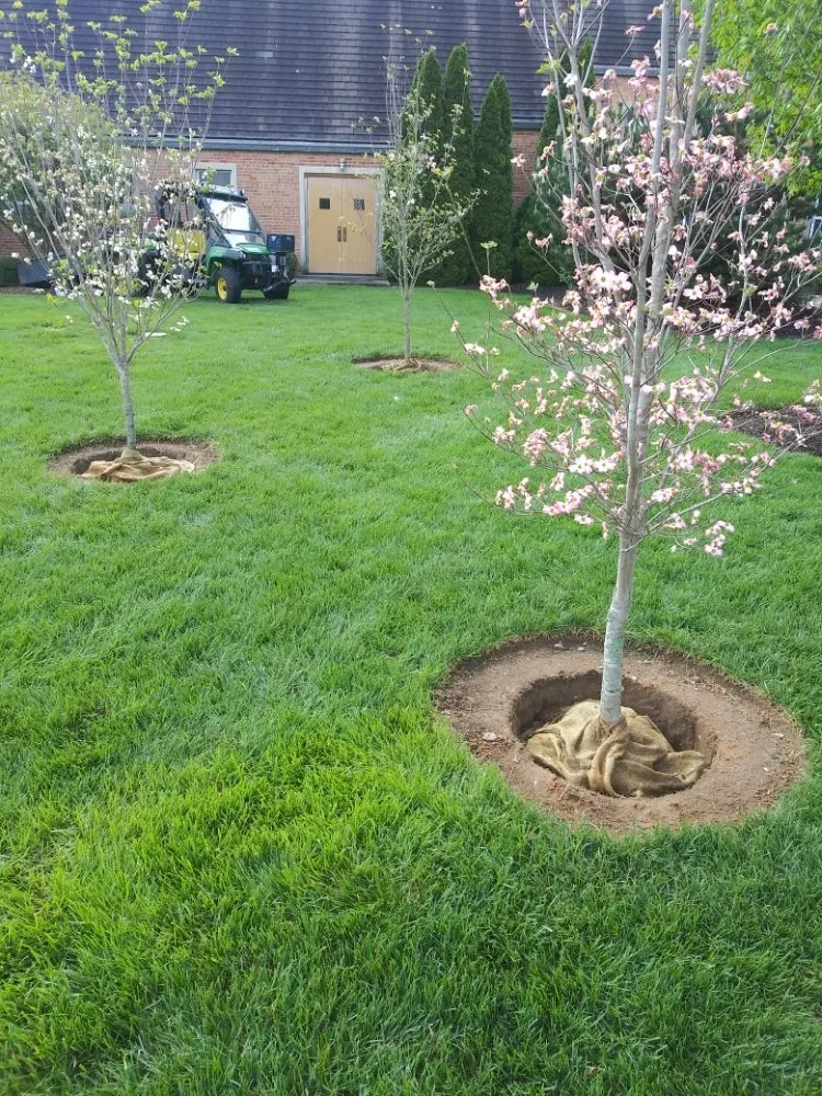 Trusted yard maintenance near you across Evansville, IN - JS Landscape