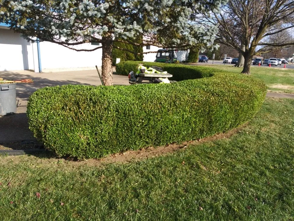 Expert lawn care service for year-round maintenance across Evansville, IN - JS Landscape