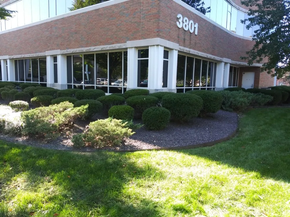 Reliable yard cleanup service for outdoor upgrades in Evansville, IN by JS Landscape