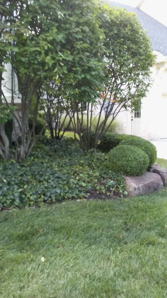 Professional yard maintenance for year-round maintenance in Evansville, IN by JS Landscape