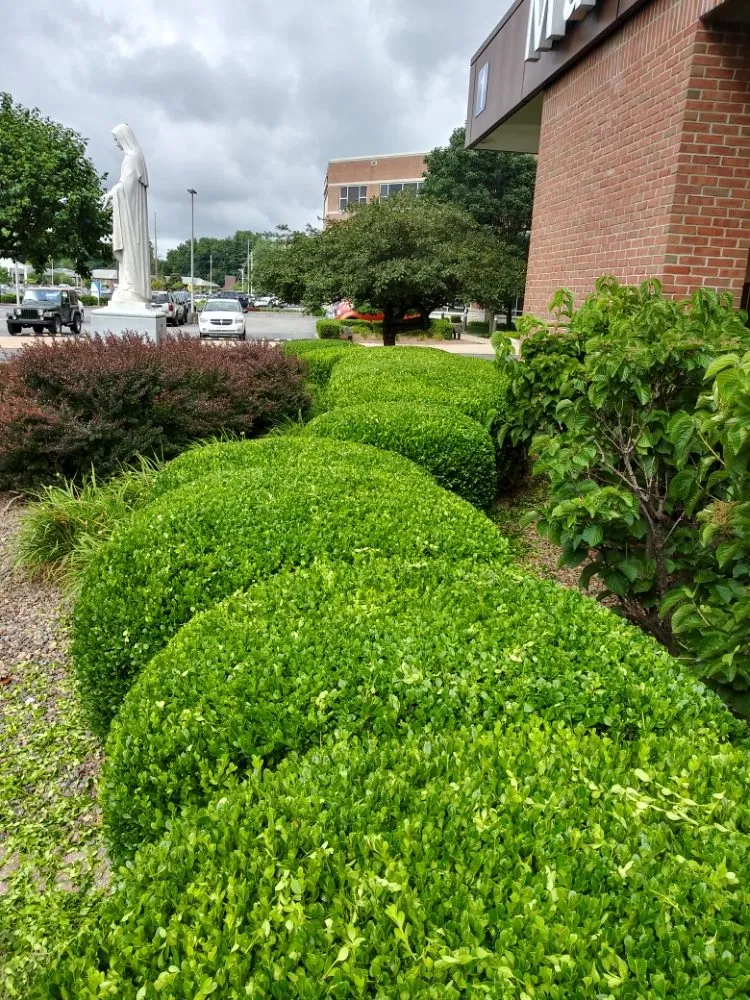 Trusted lawn care service for outdoor upgrades across Evansville, IN - JS Landscape