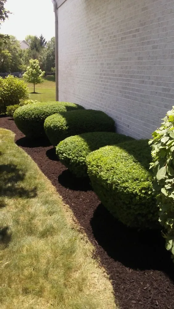 Professional yard cleanup service for residential properties across Evansville, IN - JS Landscape